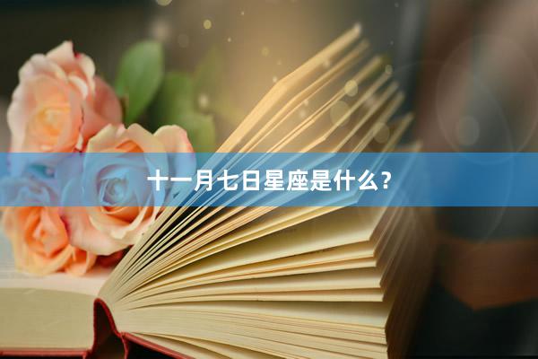 十一月七日星座是什么？